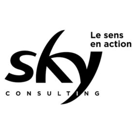 Sky Consulting : etudes marketing et conseil stratégique