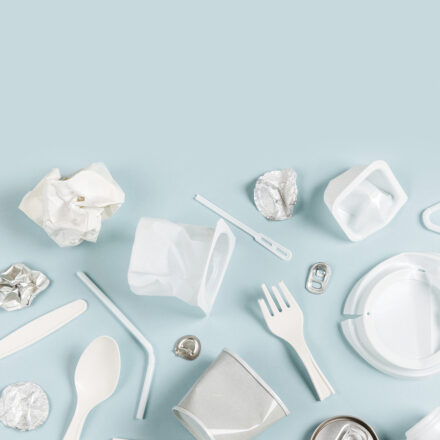 PLASTIQUES ET ALIMENTAIRE (2020)