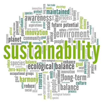 SUSTAINABILITY INDEX