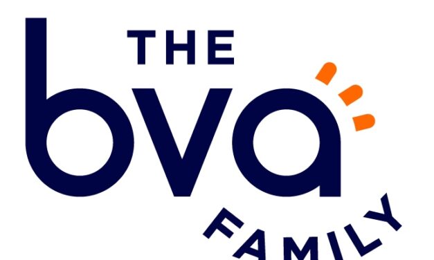 BVA Group devient The BVA Family