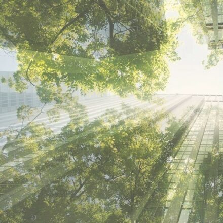 ECONOMIE DURABLE ET DUALITÉ DU CONSO-CITOYEN