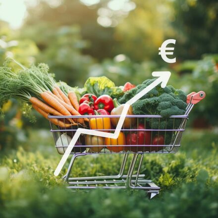 ECO-RESPONSABILITÉ ET HAUSSE DES PRIX