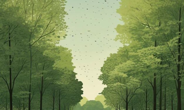 COMMENT CENTER PARCS EXPLOITE LE SOCIAL SAMPLING POUR ALIMENTER SA STRATÉGIE DE CONQUÊTE ET FIDÉLISATION EN EUROPE ?