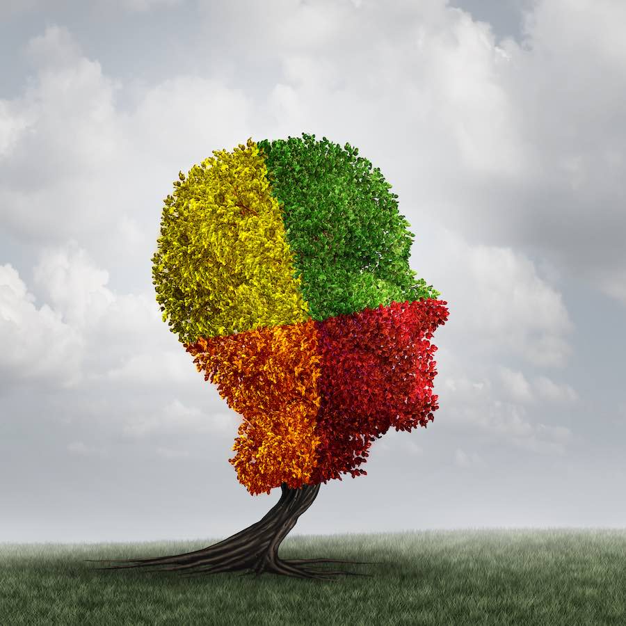 Conférence Sky Consulting - Behavior Change & Pricing Model