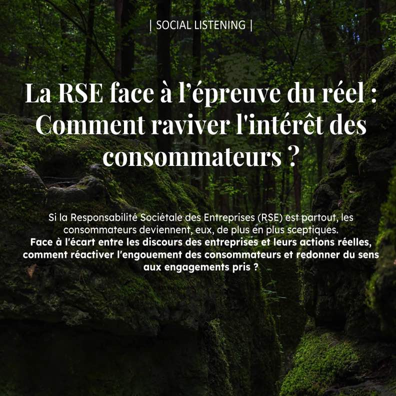 Semantiweb - Livre Blanc spécial RSE