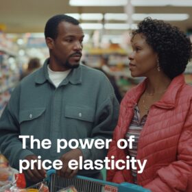 THE POWER OF PRICE ELASTICITY