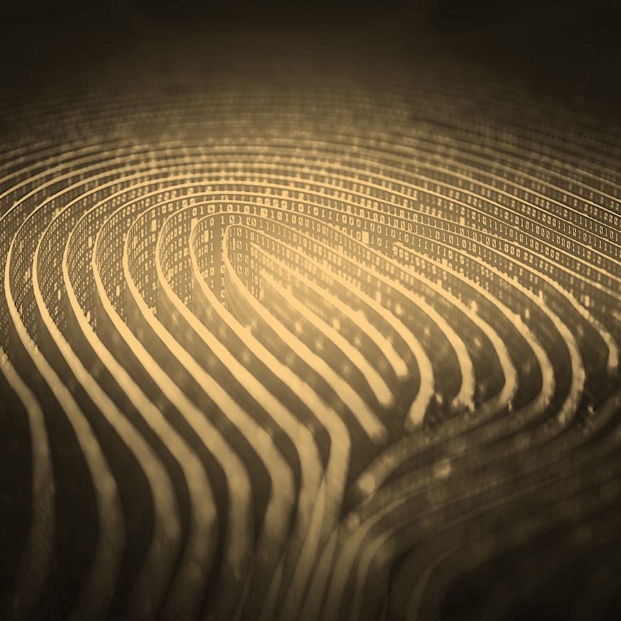 BtoAI Footprint - Occurrence (Groupe Ifop)