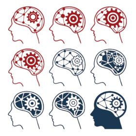 COMMENT LES NEUROSCIENCES RENFORCENT VOS DÉCISIONS DE LANCEMENT DE PRODUITS ET DE SERVICES ?